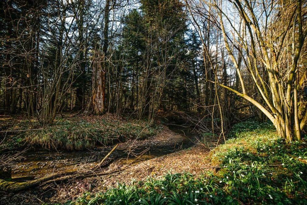 ''Forest House '' Будинок Для Відпочинку Truszkavec Kültér fotó
