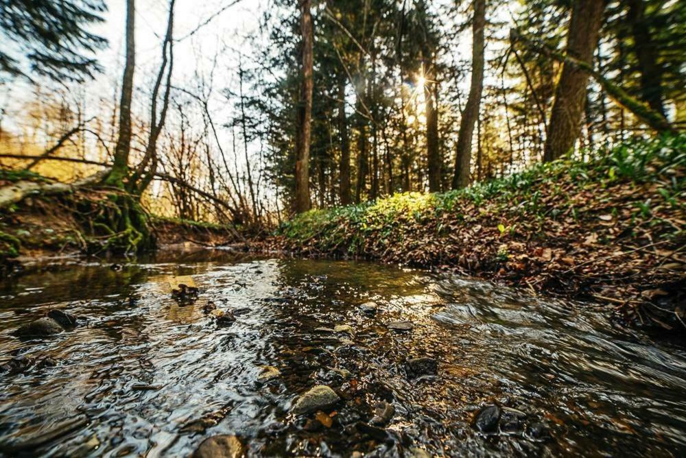 ''Forest House '' Будинок Для Відпочинку Truszkavec Kültér fotó